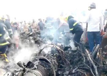 Senior Politician Dies in Plane Crash in India: World News Update