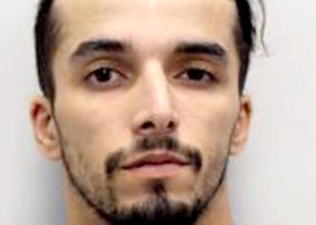 Sex Offender Re-jailed After Assaulting Police Following Accidental Release