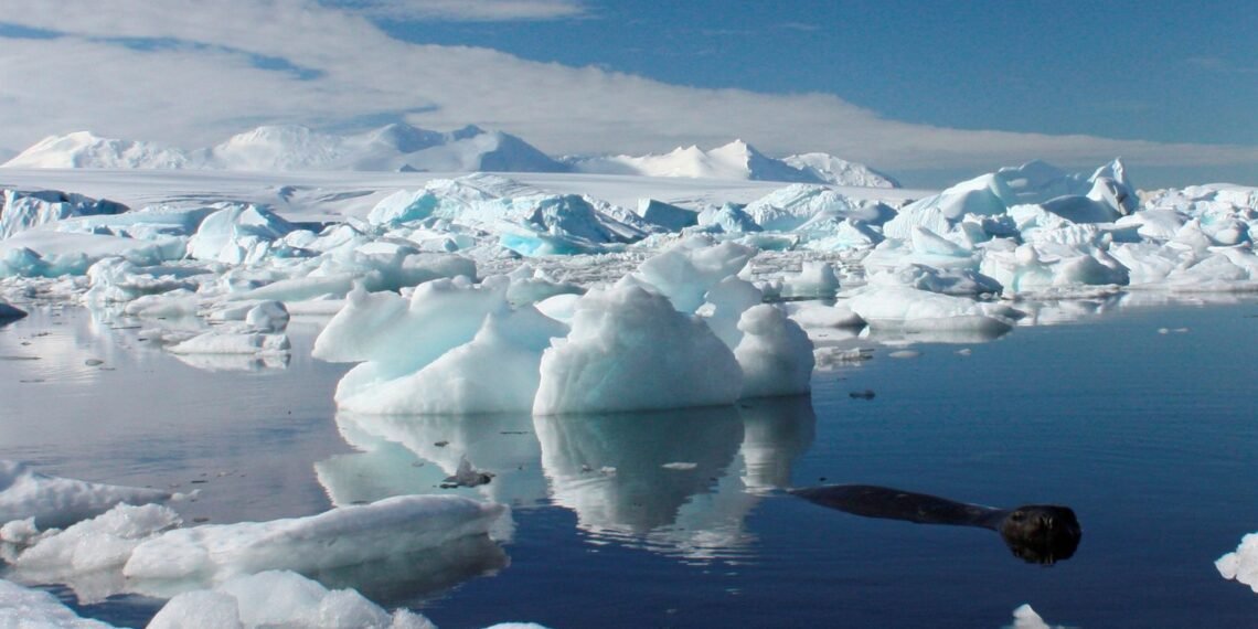 Small Climate Shift in Antarctica May Impact Global Ecosystems