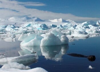 Small Climate Shift in Antarctica May Impact Global Ecosystems