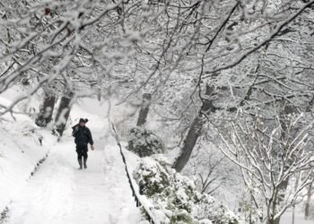 Snow Warnings Upgraded to Amber as UK Experiences Wintry Start to 2023