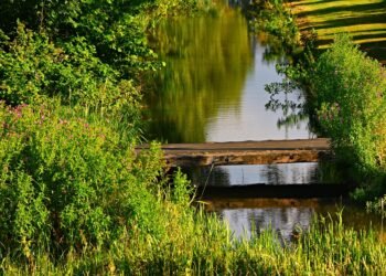 how horror films evolved across decades