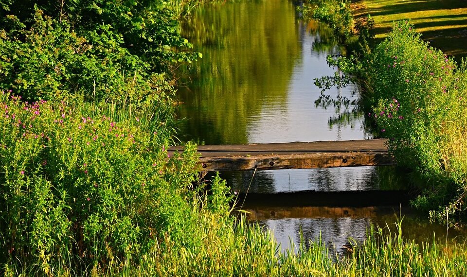 how horror films evolved across decades