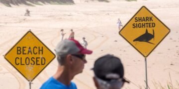 Surfer Survives Amid Surge of Shark Attacks in Sydney's Waters