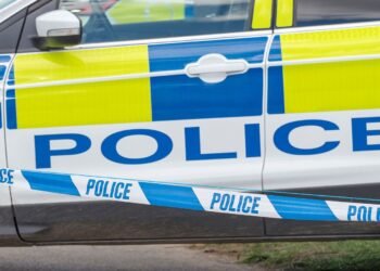 Teenage Boy Fatally Stabbed in Surrey Woodland Incident