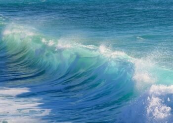 impact of british new wave cinema