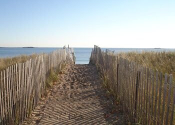 impact of british new wave cinema