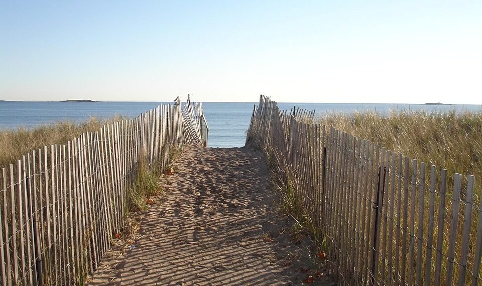 impact of british new wave cinema