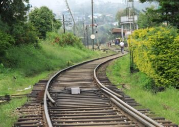 how horror films evolved across decades