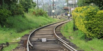 how horror films evolved across decades