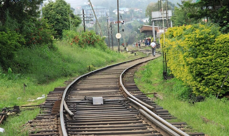 how horror films evolved across decades