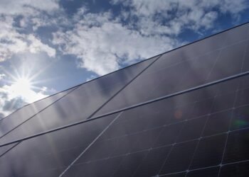 role of mitochondria in energy production