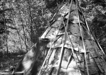 history of indian cinema evolution