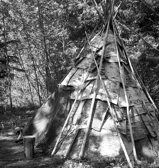 history of indian cinema evolution