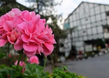 history of james cameron’s blockbuster filmmaking