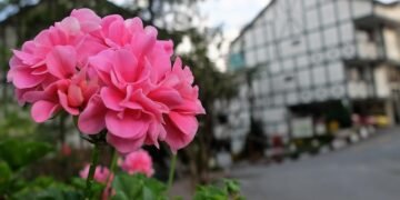 history of james cameron’s blockbuster filmmaking