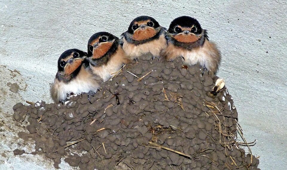 martin scorsese contribution to filmmaking