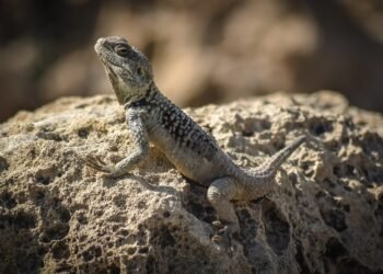 cinematic impact of true story adaptations