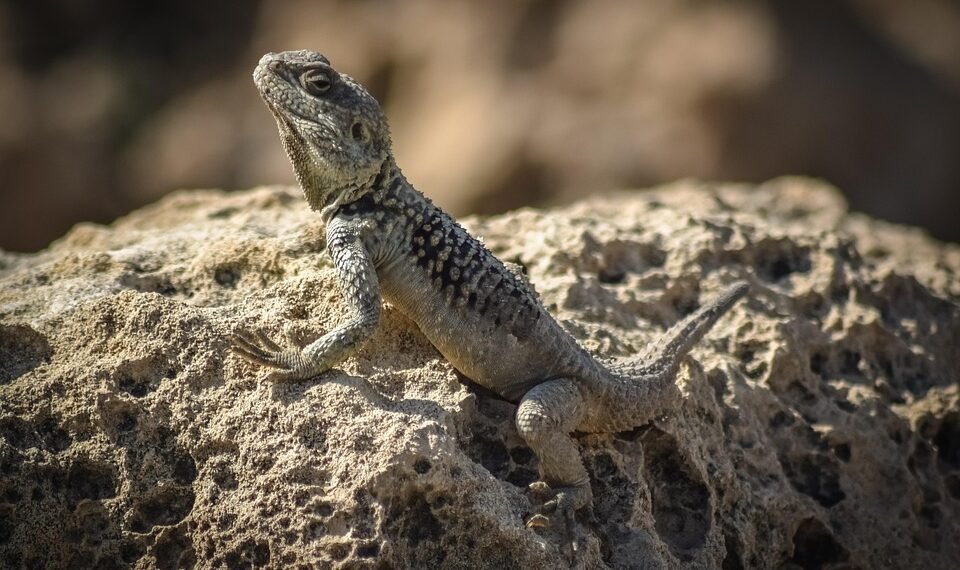 cinematic impact of true story adaptations