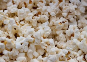 introduction to auteur theory in cinema