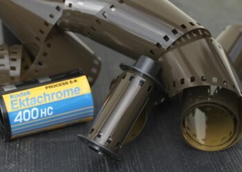 role of film critics in shaping cinema culture