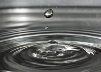 rise of french new wave filmmaking