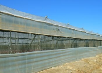 importance of screenplay structure in filmmaking