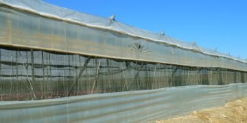 importance of screenplay structure in filmmaking