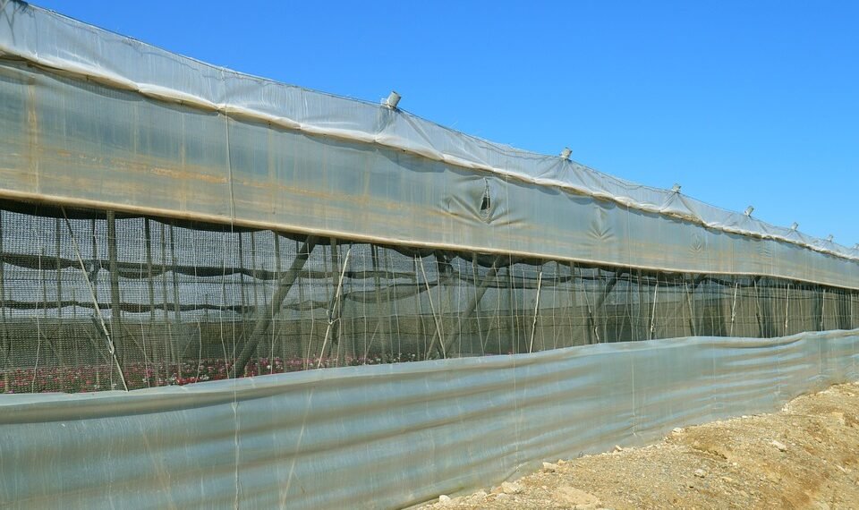 importance of screenplay structure in filmmaking