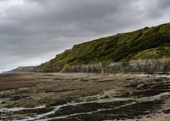 how film ratings systems developed globally