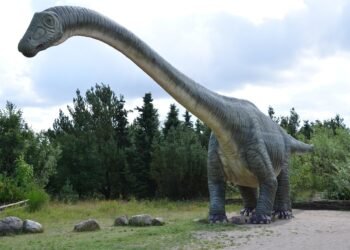 evolution of film criticism and reviewers