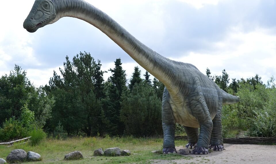 evolution of film criticism and reviewers