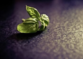 rise of italian neorealism film movement