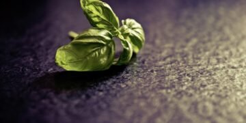 rise of italian neorealism film movement