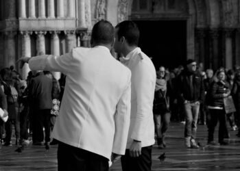 role of the civil service in government operations