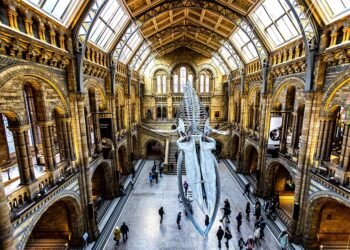 history of british cinema evolution