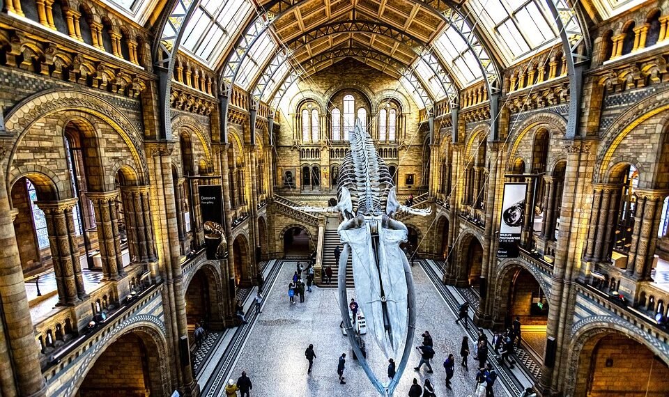 history of british cinema evolution