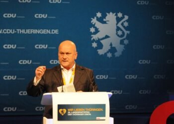 roles and responsibilities of members of parliament