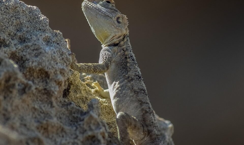 cinematic impact of true story adaptations