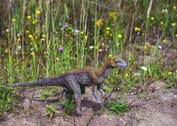 history of british cinema evolution