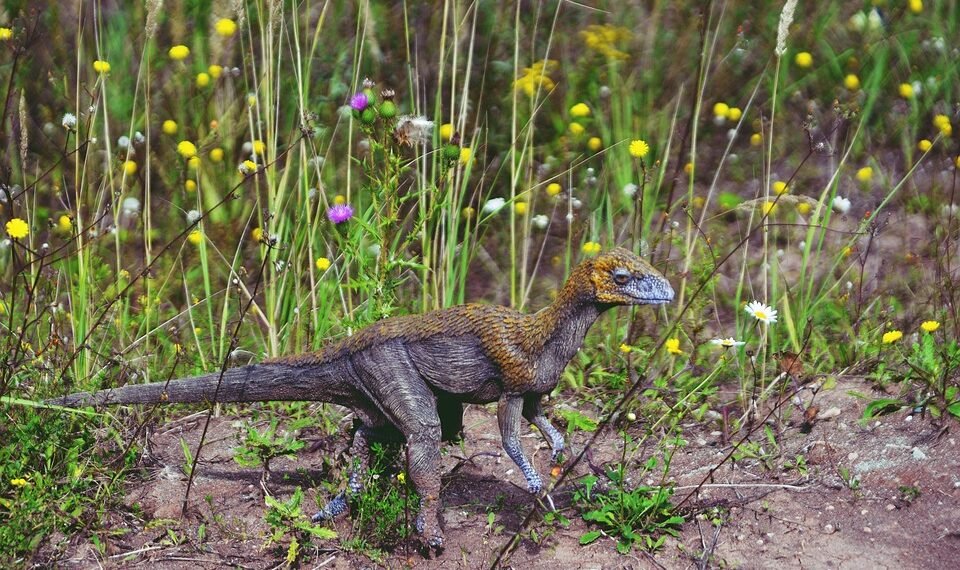 history of british cinema evolution