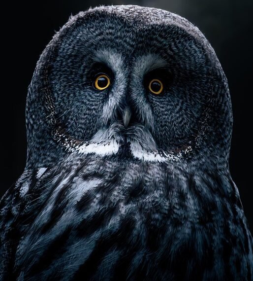 how comedy films changed from silent era to present