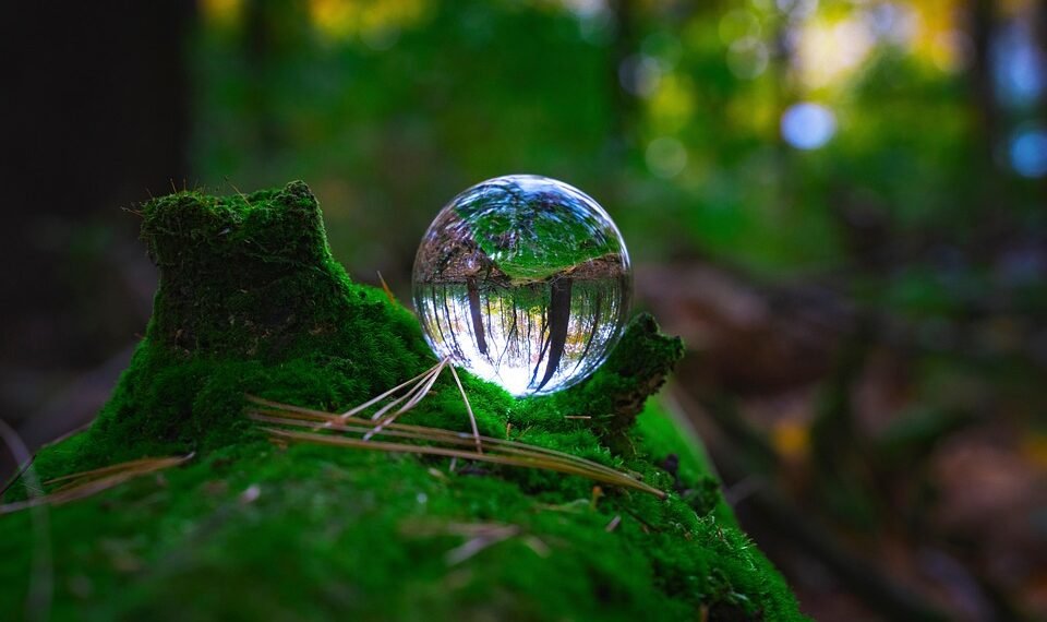 importance of film preservation and restoration