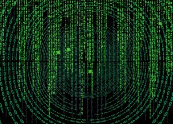 basics of computer viruses and malware