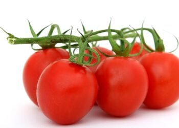 healthy eating habits and nutrition basics