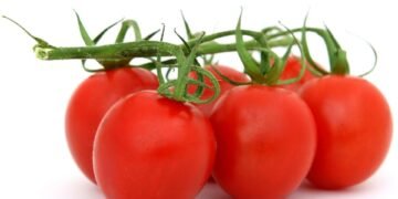 healthy eating habits and nutrition basics