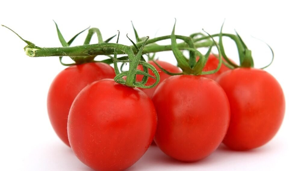 healthy eating habits and nutrition basics