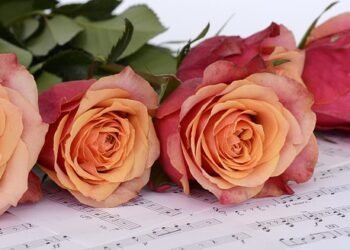 how harmony works in modern and classical compositions