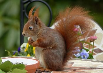 timeline of major film technological innovations