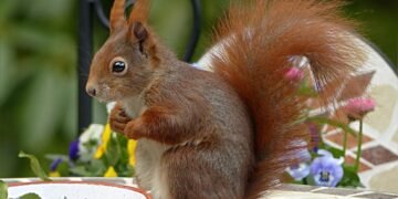 timeline of major film technological innovations